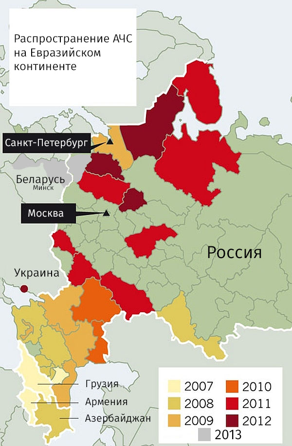Африканская чума – история вопроса